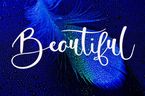 Enjoy Nature Font PNG with transparent background - Preview 1