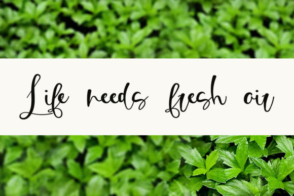 Enjoy Nature Font PNG with transparent background - Preview 4