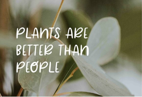 Plant Mama Font PNG with transparent background - Preview 5