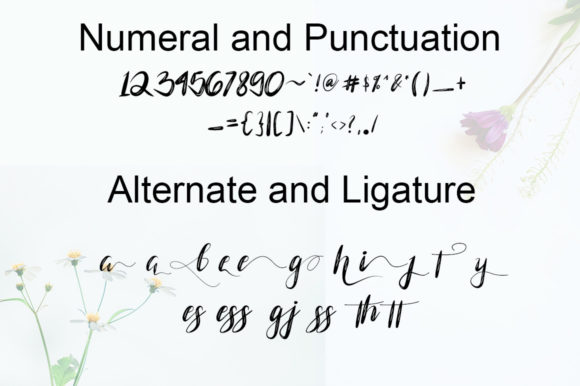 Aneesha Font - Preview 6