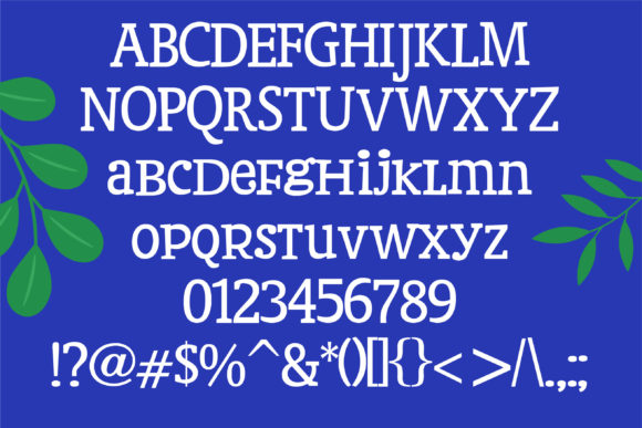 Blank Check Font - Preview 1