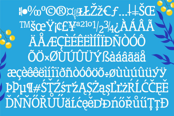Blank Check Font - Preview 2