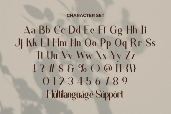 Coatesville Font - Preview 2