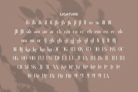 Coatesville Font - Preview 6