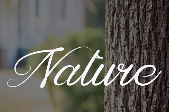 Luxury Script & Handwritten Font By Aimin studio