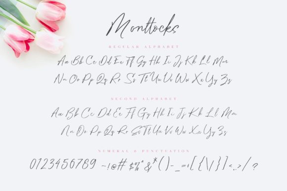 Monttocks Font PNG with transparent background - Preview 4