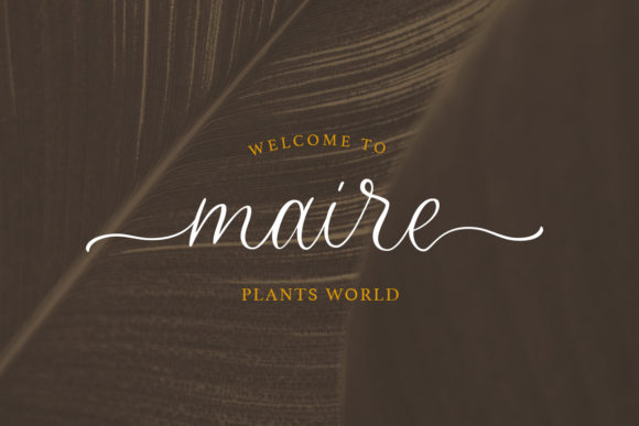 Bitterdine Font - Preview 2