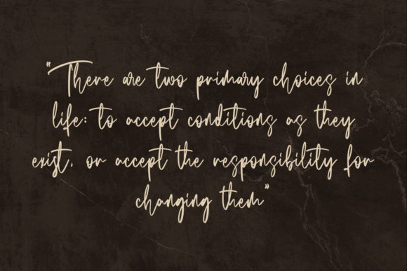 Conspirates Signature Font - Preview 1