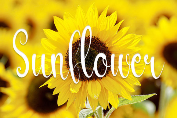 Beauty Florist Font - Preview 1