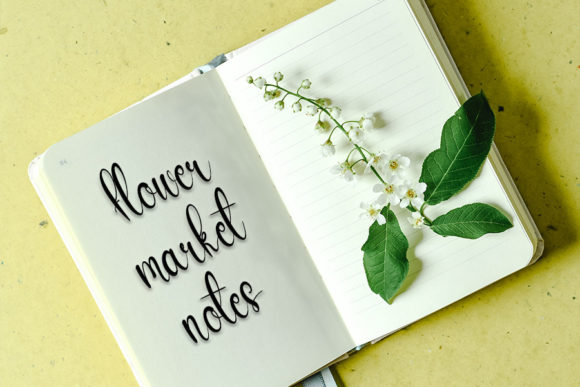 Beauty Florist Font - Preview 2