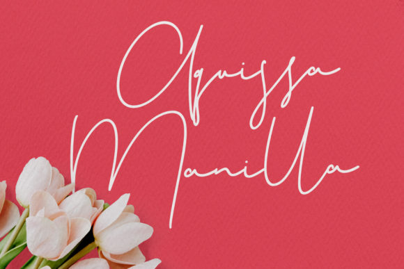 Christie Dianna Font PNG with transparent background - Preview 3