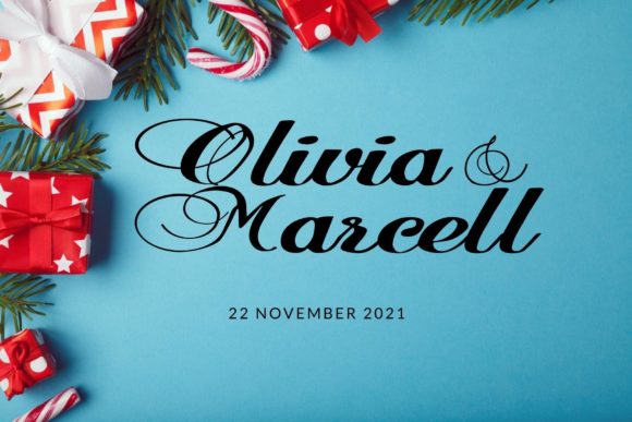 Orkhidein Font font preview - 2