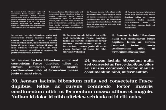Bastine Font - Preview 4