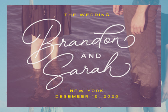 Bastinson - Monoline Script Font - Preview 3
