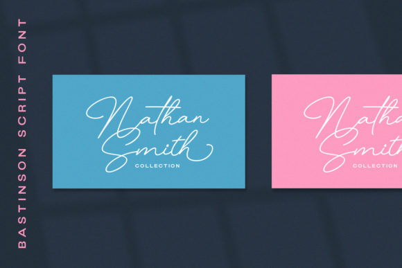 Bastinson - Monoline Script Font - Preview 4