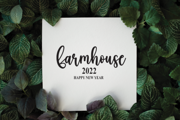 Boho Font - Preview 4