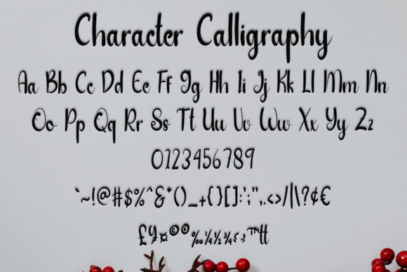 Calligraphy Font - Preview 6