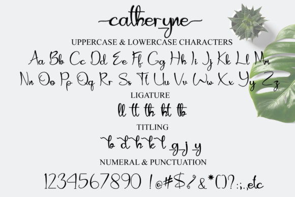 Catheryne Font - Preview 6