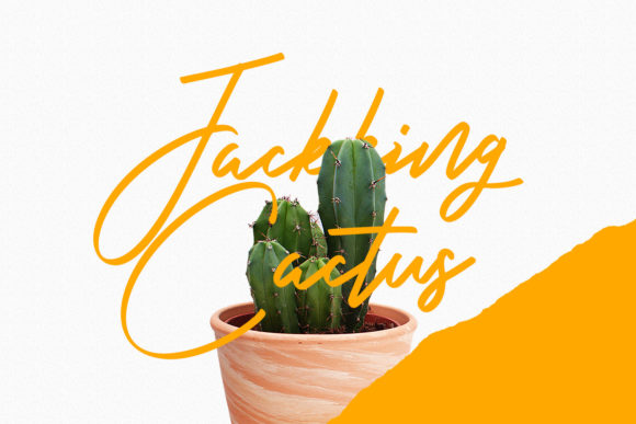 Hooney Vibes Font PNG with transparent background - Preview 3