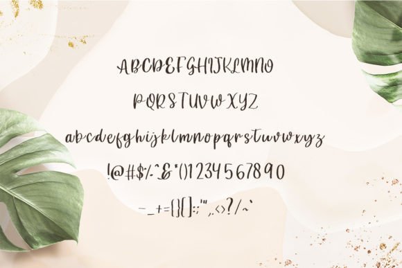 Niewiasta Font PNG with transparent background - Preview 2