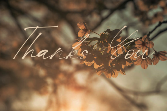 Russ Motley Font PNG with transparent background - Preview 4