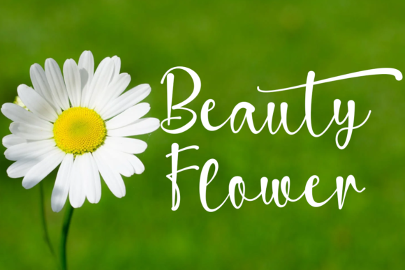 Sainthick Font PNG with transparent background - Preview 3