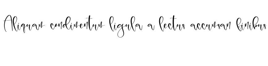 palmer