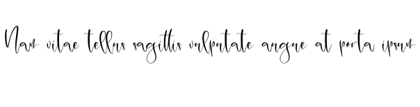 palmer