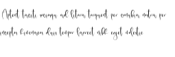 palmer