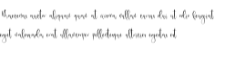 palmer