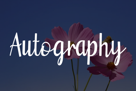 Betrice Font - Preview 1