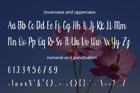 Betrice Font - Preview 3