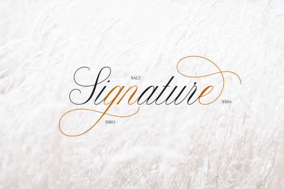 Claudya Font - Preview 5