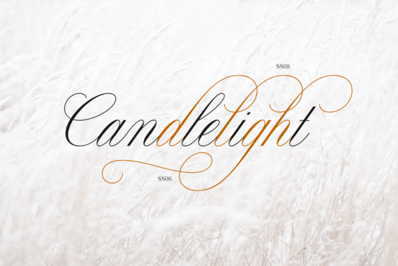 Claudya Font - Preview 6