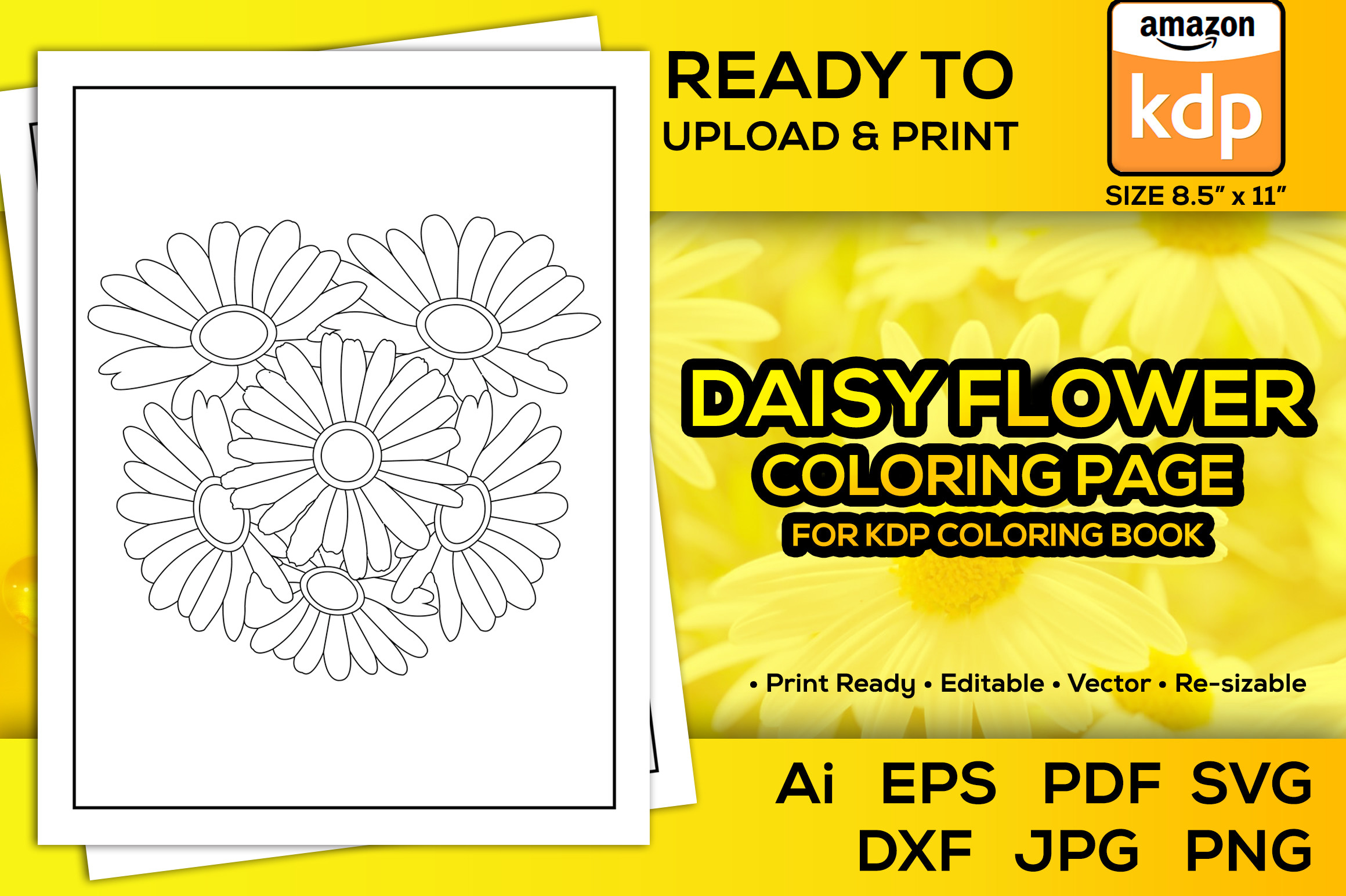 Daisy Flower Coloring Pages Book for Kdp Graphic by TeamlancerBD ...