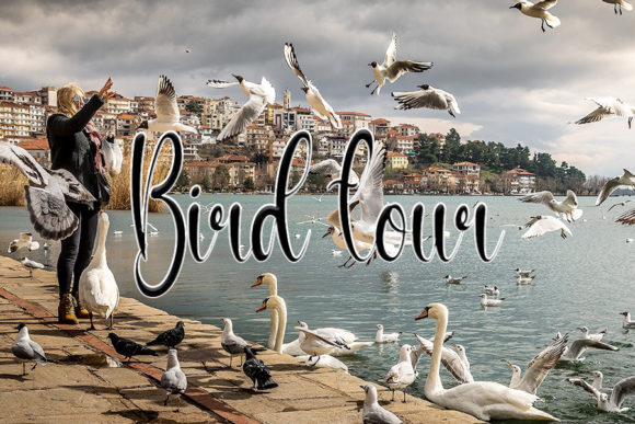 Higuana Font PNG with transparent background - Preview 1