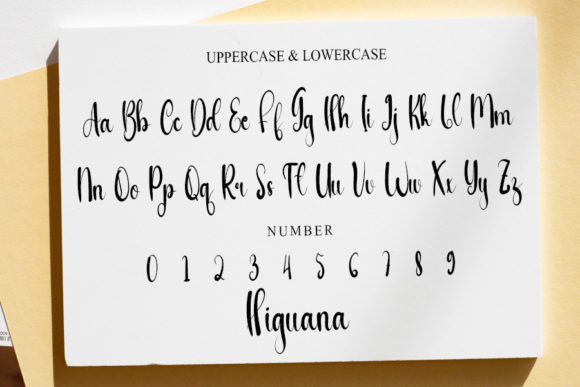 Higuana Font PNG with transparent background - Preview 3