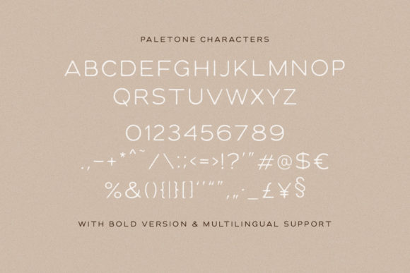 Paletone Font PNG with transparent background - Preview 1
