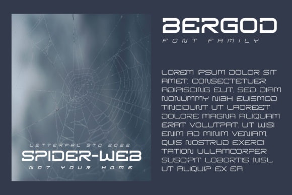 Bergod Sans Serif Font - Preview 5