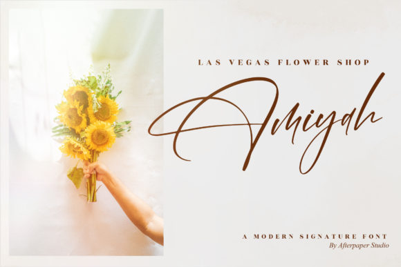 Bermingham Diamond Font - Preview 6