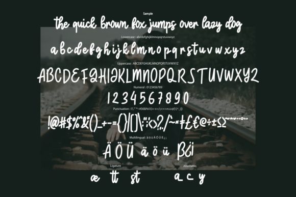 Castonila Font - Preview 5