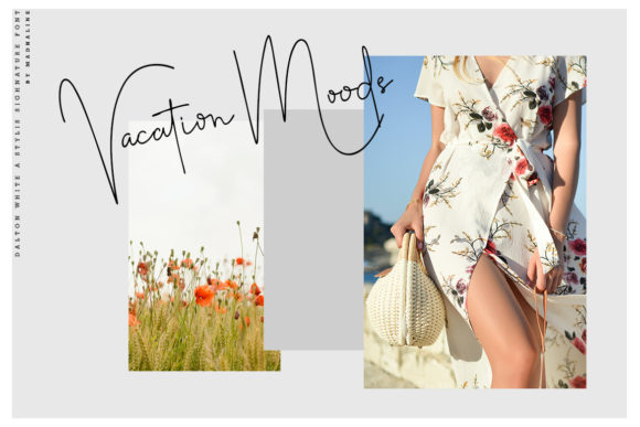 Dalton White Font - Preview 4