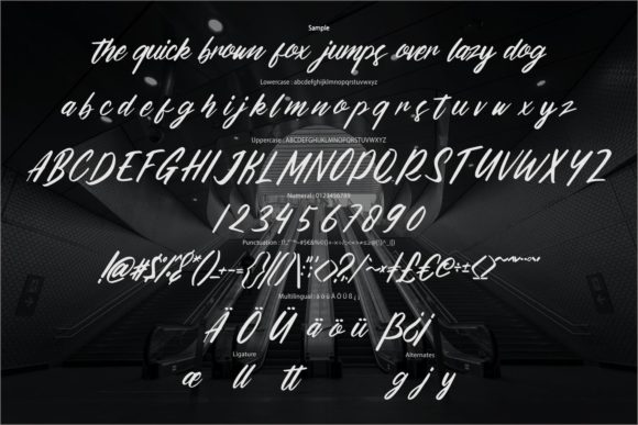 Donttown Font PNG with transparent background - Preview 5