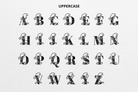 EZ Monogram Font - Preview 1