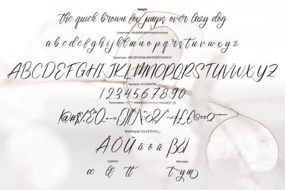 Entalyum Font - Preview 5