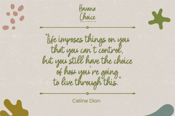 Havana Choice Font - Preview 5