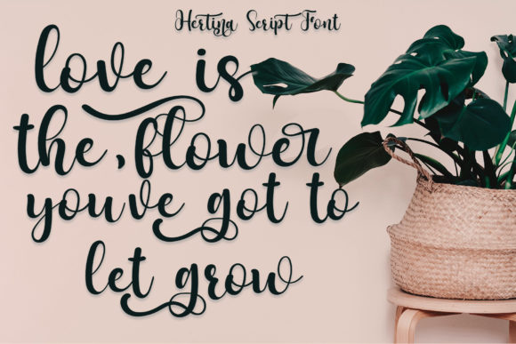Hertina Script Font font preview - 1
