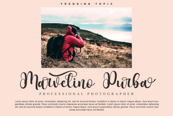 Hertina Script Font font preview - 4
