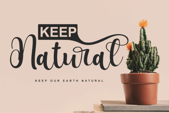 Hertina Script Font font preview - 5