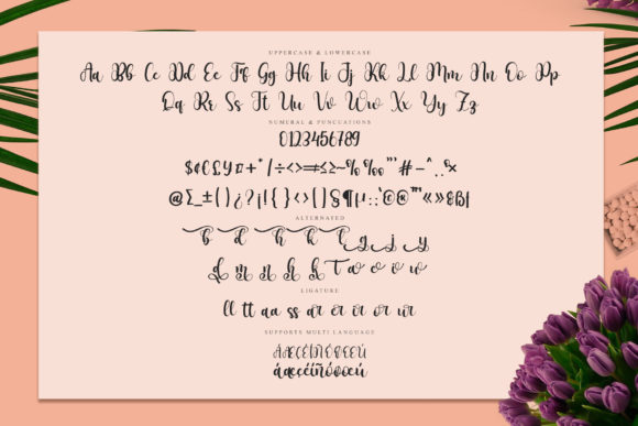 Hertina Script Font font preview - 6